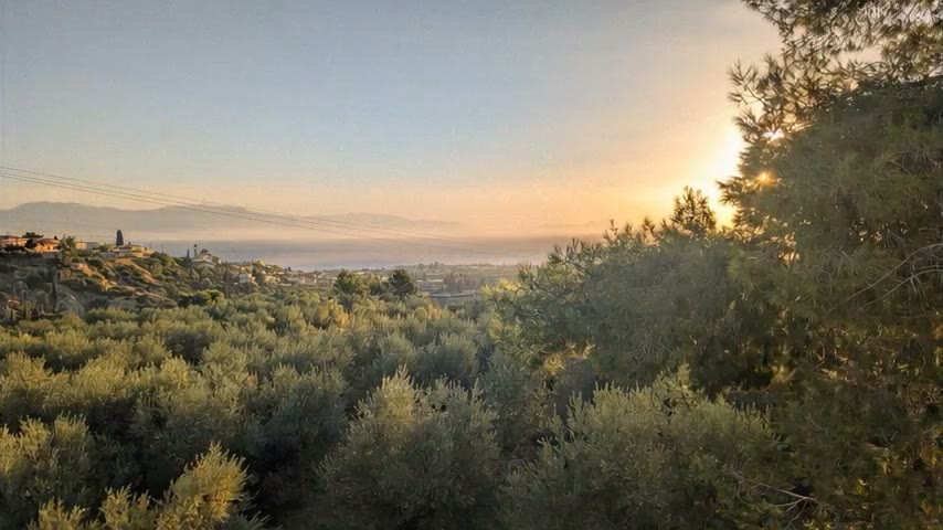 Vue du domaine Kiato